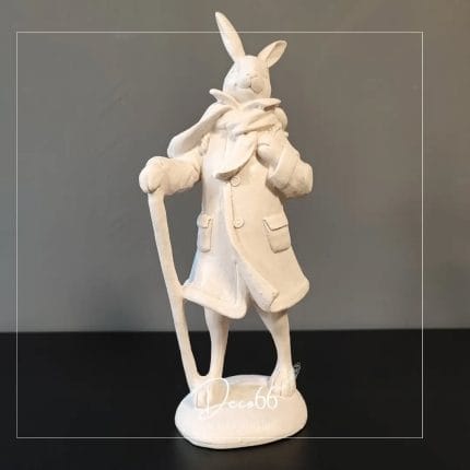 خرگوش کشاورزA